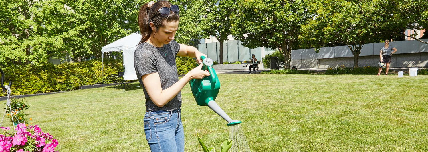 Garden Care Store -Garden Care Store 2