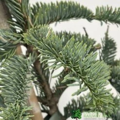 Garden Care Store -Garden Care Store 30006407 2