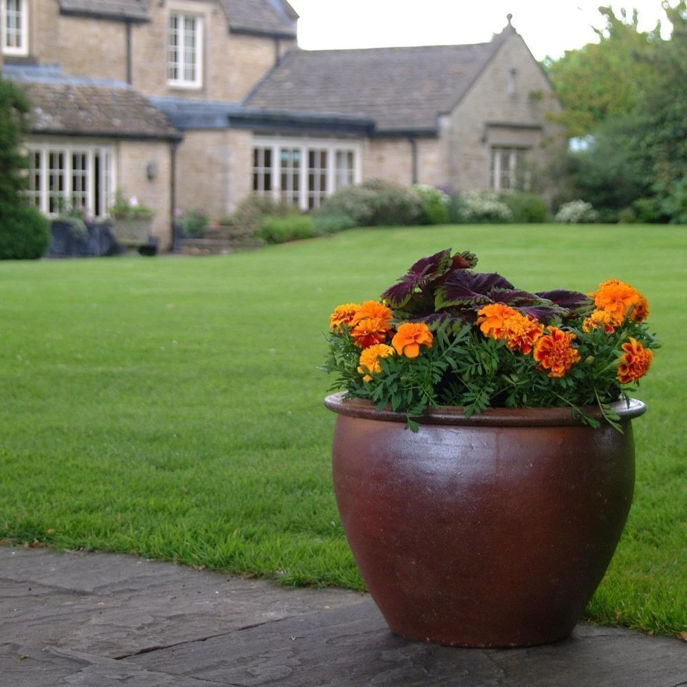 Woodlodge 40cm Thai Salt Glazed Pot 2 Woodlodge 40cm Thai Salt Glazed Pot - Image 2