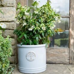 Woodlodge 38cm White / Cream Glazed Heritage Cylinder Pot -Garden Care Store 5021346424430