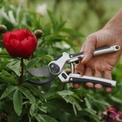 Eversharp All Purpose Secateurs 10 Eversharp All Purpose Secateurs -Garden Care Store 5023377019623 5