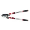 Darlac Telescopic Ratchet Lopper