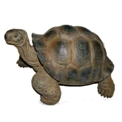 Vivid Arts 27cm Giant Tortoise -XRL-GTRT-D