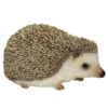 Vivid Arts 13cm Pet Pals Pygmy Hedgehog - PP-PHED-F