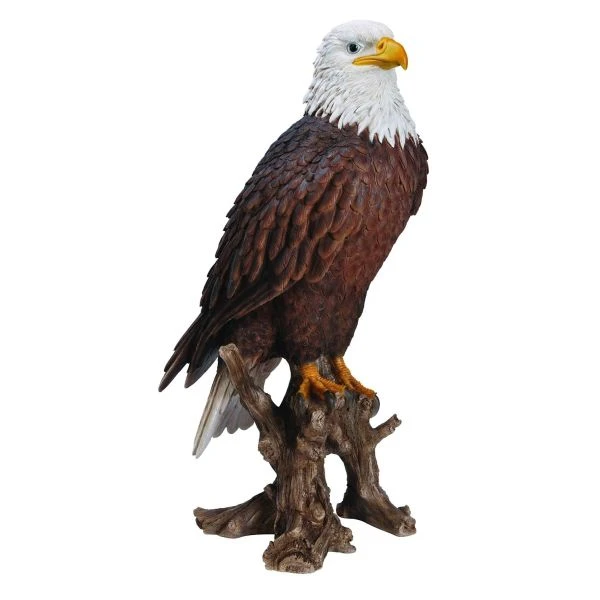 Vivid Arts 40cm American Bald Eagle - XRL-BLDE-B 1 Vivid Arts 40cm American Bald Eagle - XRL-BLDE-B