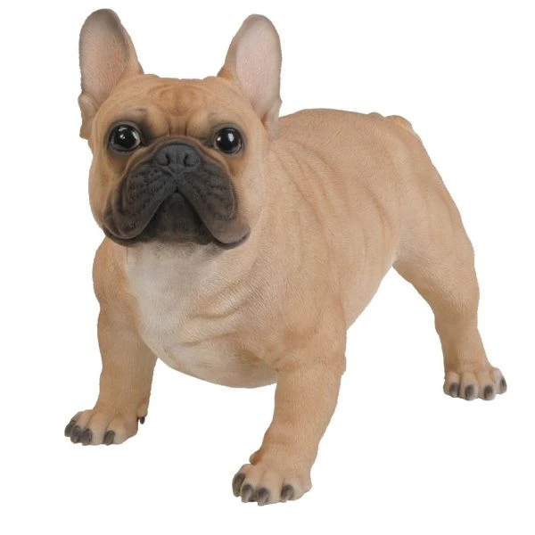 Vivid Arts 50cm Gold French Bulldog - XRL-FRBD-A 1 Vivid Arts 50cm Gold French Bulldog - XRL-FRBD-A