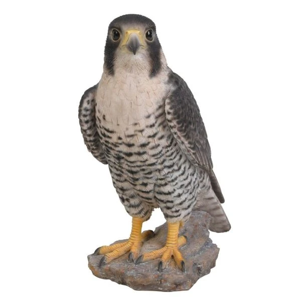Vivid Arts 25cm Peregrine Falcon - XRL-PFAL-B 1 Vivid Arts 25cm Peregrine Falcon - XRL-PFAL-B
