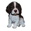 Vivid Arts 16cm Pet Pals Springer Spaniel - PP-SPSP-F