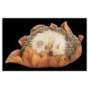 Vivid Arts Baby Hedgehog Sleeping On Leaf XRL-HH09-F
