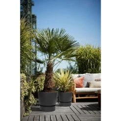 Elho 25cm Living Black Greenville Round Planter -Garden Care Store 8711904332334 5