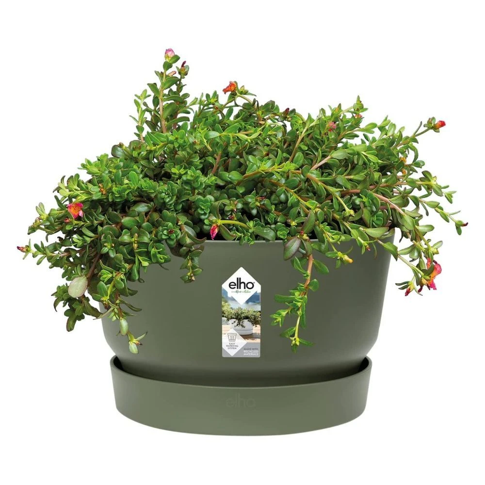 Elho 33cm Leaf Green Greenville Bowl Planter 2 Elho 33cm Leaf Green Greenville Bowl Planter - Image 2