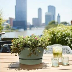 Elho 33cm Leaf Green Greenville Bowl Planter 8 Elho 33cm Leaf Green Greenville Bowl Planter -Garden Care Store 8711904332464 4